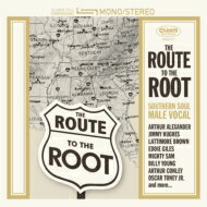 Route To The Root : Southern Soul 󥬡 CD