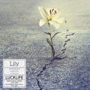 ラックライフ / Lily 【アーティスト盤】 【CD Maxi】