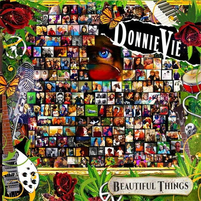 Donnie Vie ドニービー / Beautiful Things 【CD】