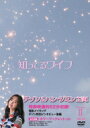 知ってるワイフ<韓国放送版> DVD-BOX2 【DVD】