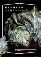 魅惑の特定動物完全飼育バイブル / パンク町田 【本】