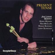 【輸入盤】 Joe Locke / Present Tense 【CD】