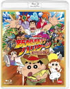 映画クレヨンしんちゃん 新婚旅行ハリケーン ~失われたひろし~ 【BLU-RAY DISC】
