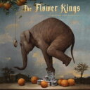 Flower Kings フラワーキングス / Waiting For Miracles (2枚組アナログレコード+2枚組CD) 【LP】