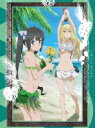 ダンジョンに出会いを求めるのは間違っているだろうかII OVA 【BLU-RAY DISC】