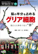 脳の半分を占めるグリア細胞 実験医学増刊 / 松井広 【本】