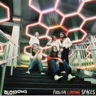 Blossoms / Foolish Loving Spaces 【LP】