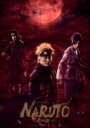 ライブ・スペクタクル「NARUTO-ナルト-」～暁の調べ～　2019【完全生産限定版】DVD 【DVD】