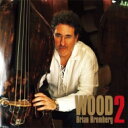 Brian Bromberg ブライアンブロンバーグ / Wood 2 (2枚組 / 180グラム重量盤レコード / KING RECORDS低音シリーズ) 【LP】