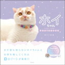 ホイちゃん hoippu cream PHOTOBOOK / ホイ主 【本】