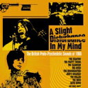【輸入盤】 Slight Disturbance In My Mind: The British Proto-psychedelic Sounds Of 1966 (Clamshell Boxset) (3CD) 【CD】