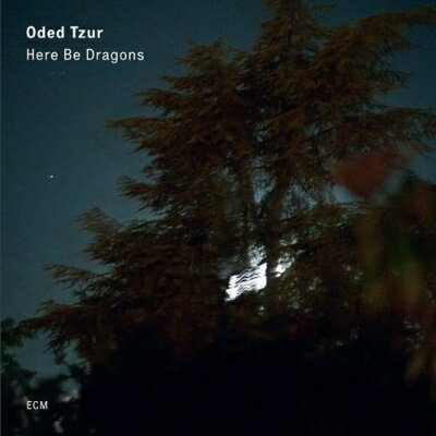 【輸入盤】 Oded Tzur / Here Be Dragons 【CD】