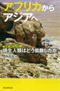 アフリカからアジアへ 現生人類はどう拡散したか 朝日選書 / 西秋良宏 【全集・双書】