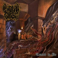 【送料無料】 Coffin Curse / Ceased To Be 輸入盤 【CD】