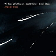 【輸入盤】 Wolfgang Muthspiel ウォルフガングムースピール / Angular Blues 【CD】