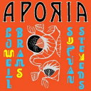 【輸入盤】 Sufjan Stevens / Lowell Brams / Aporia 【CD】