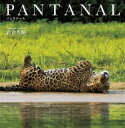 PANTANAL パンタナール / 岩合光昭 【本】