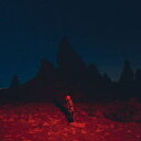 Phoebe Bridgers / Punisher (アナログレコード) 【LP】