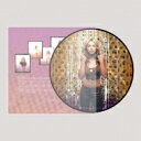 Britney Spears ブリトニースピアーズ / Oops I Did It Again (20th Anniversary Edition) (ピクチャーディスク仕様 / アナログレコード) 【LP】