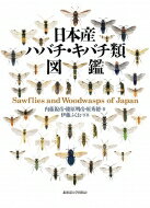 日本産ハバチ・キバチ類図鑑 / 内藤親彦 