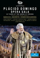 Verdi ベルディ / アレーナ・ディ・ヴェローナ音楽祭 2019～プラシド・ドミンゴ 50周年記念オペラ・ガラ（日本語字幕付）（2DVD）（日本語解説付） 【DVD】