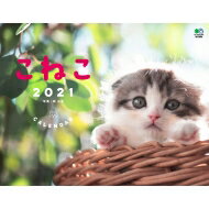 こねこ カレンダー 壁掛け 2021 B4ワイド / 関由香 【本】