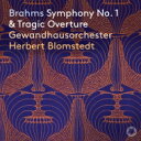【送料無料】 Brahms ブラームス / 交響曲第1番、悲劇的序曲　ヘルベルト