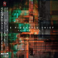 【輸入盤】 Pineapple Thief / Hold Our Fire 【CD】