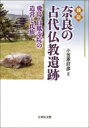 検証　奈良の古代仏教遺跡 飛鳥・白鳳寺院の造営と氏族 / 小笠原好彦 