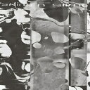 Oliver Coates / Skins N Slime 【CD】