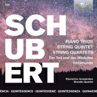 【輸入盤】 Schubert シューベルト / 弦楽四重奏曲集 弦楽五重奏曲 ピアノ三重奏曲 ブランディス四重奏団 ウェンシン ヤン アムステルダム ピアノ三重奏団（5CD） 【CD】