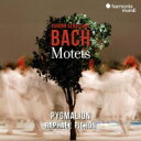 【輸入盤】 Bach, Johann Sebastian バッハ / バッハ：モテット集 G.ガブリエリ：主に向かって喜びの声をあげよ 他 ラファエル ピション＆ピグマリオン 【CD】