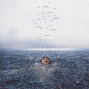 Shawn Mendes / Wonder (アナログレコード) 【LP】