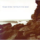 Polygon Window / Surfing On Sine Wave (完全版)<紙ジャケット> 【CD】
