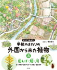 くらべてみよう!学校のまわりの外国から来た植物 セイタカアワダチソウ・オオオナモミほか 3 田んぼ・畑・川 / 亀田龍吉 【全集・双書】