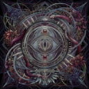 NOCTURNAL BLOODLUST / The Wasteland