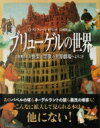 ブリューゲルの世界 目を奪われる快楽と禁欲の世界劇場へようこそ / マンフレート・ゼリンク 