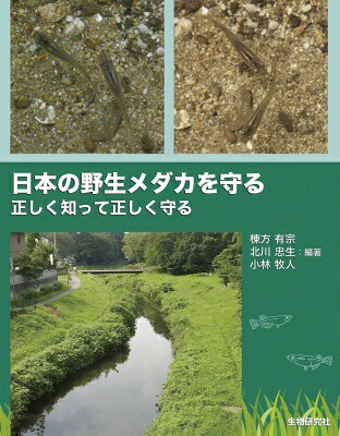 出荷目安の詳細はこちら