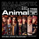 BALLISTIK BOYZ from EXILE TRIBE / Animal 【CD Maxi】