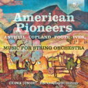  A  American Pioneers`AJ̍ȉƂɂ錷ytȏW@fBNEt@EnXe`R[jAER\[g  CD 