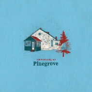 【輸入盤】 Pinegrove / Amperland, Ny 【CD】