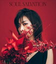 林原めぐみ ハヤシバラメグミ / Soul salvation ＜TVアニメ「SHAMAN KING」主題歌マキシシングル＞ 【CD Maxi】