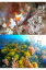 湘南 波の下水族館 / 佐藤輝 (ダイビングガイド) 【本】 1,980円