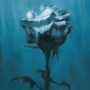 waterweed / Deep inside + Unknown best 【CD】