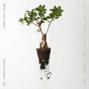 【輸入盤】 Caroline Shaw So Percussion / Let The Soil Play Its Simple Part 【CD】