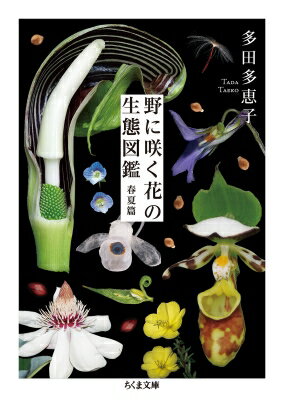 野に咲く花の生態図鑑　春夏篇 ちくま文庫 / 多田多恵子 【文庫】