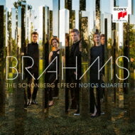 Brahms ブラームス / シェーンベルク・エフェクト～ピアノ四重奏曲第1番、交響曲第3番（ピアノ四重奏版）　ノトス・カルテット 【CD】