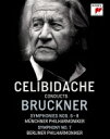 Bruckner ブルックナー / 交響曲第6番、第7番(2種)、第8番 セルジウ・チェリビダッケ&ミュンヘン・フィル、ベルリン・フィル(1990〜1992)(...