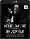 Bruckner ブルックナー / 交響曲第6番 セルジウ・チェリビダッケ&ミュンヘン・フィル(1991) 【BLU-RAY DISC】
