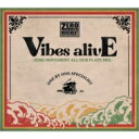 ZERO MOVEMENT / VIBES ALIVE - ZERO MOVEMENT ALL DUB PLATE MIX - 【CD】